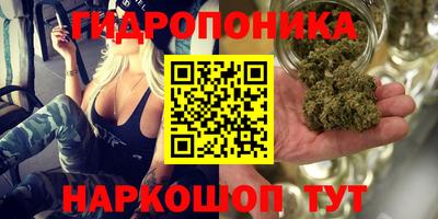 прущий лед Волжский
