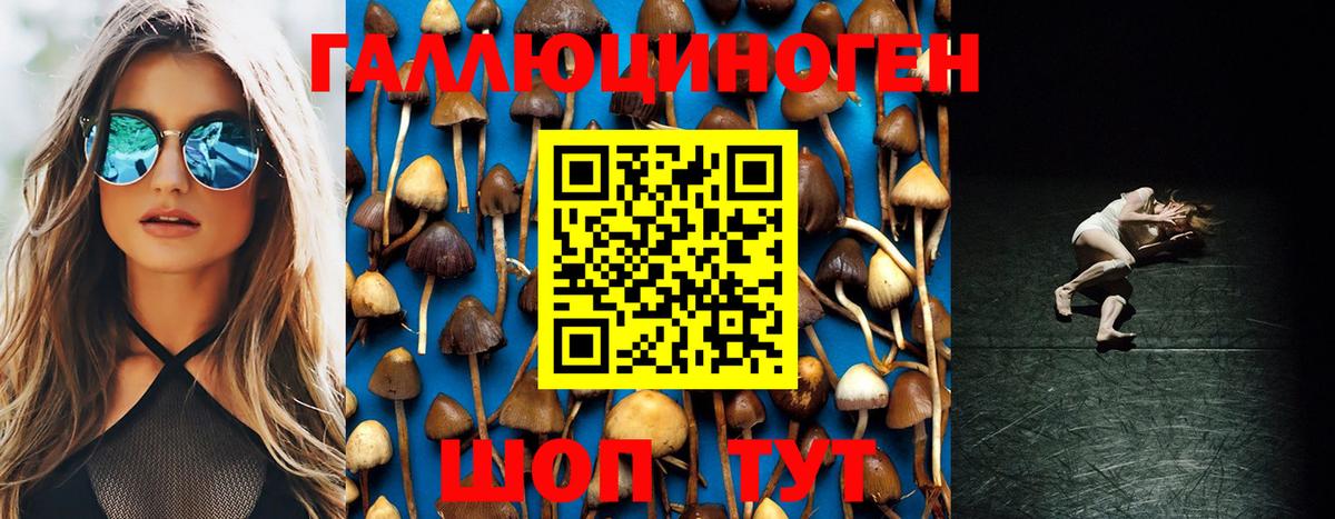 Галлюциногенные грибы MAGIC MUSHROOMS Большой Камень