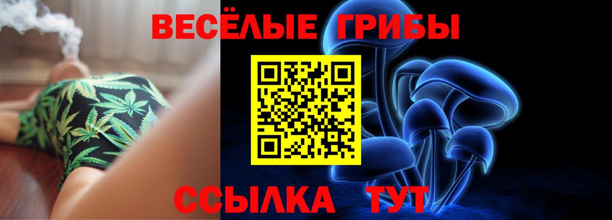 Большой Камень  Галлюциногенные грибы мицелий  Вход с VPN 